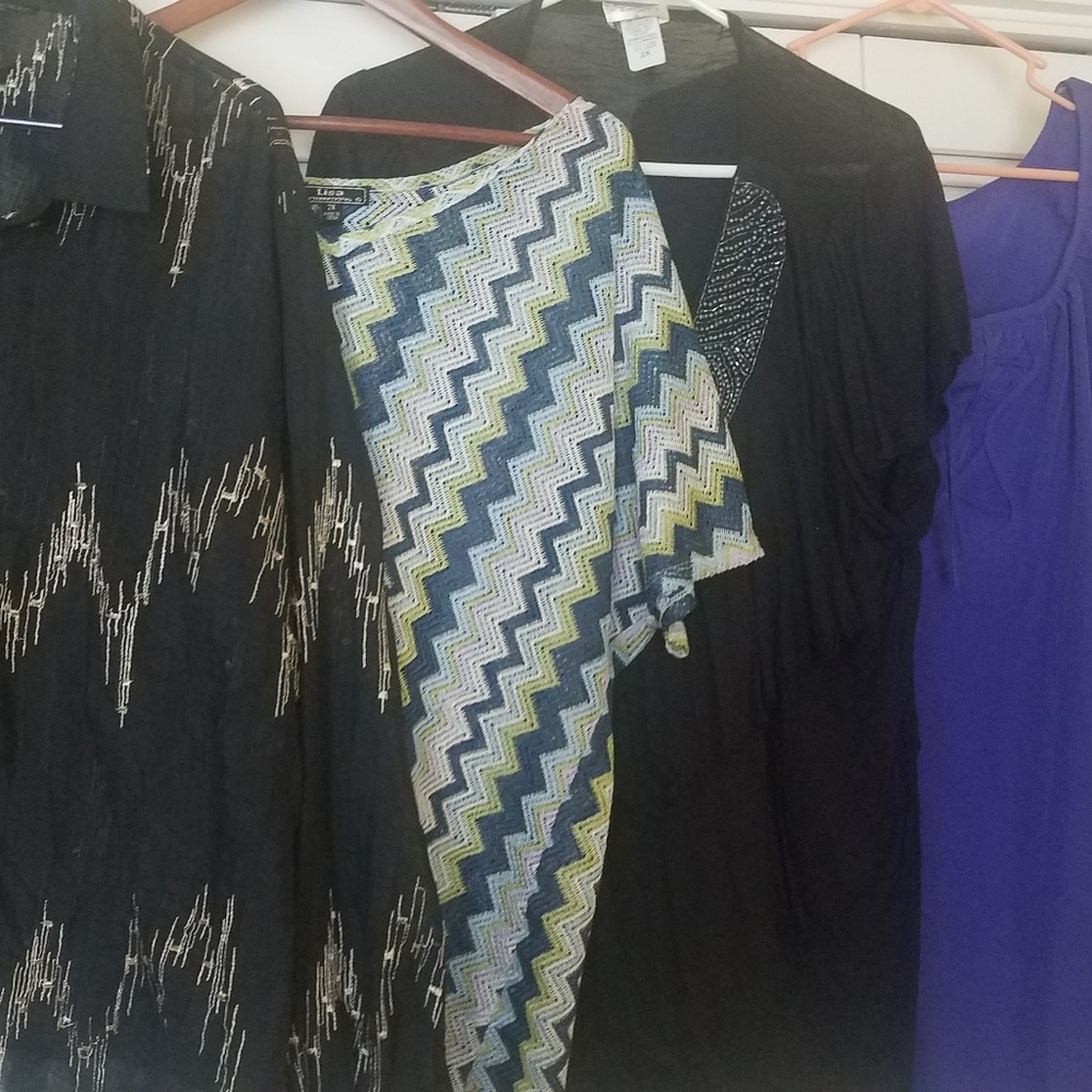 Women's PLUS Size LOT of 4 FALL Shirts 2X 22 24 EC